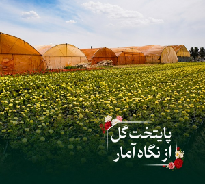 پایتخت گل ایران، به روایت آمار