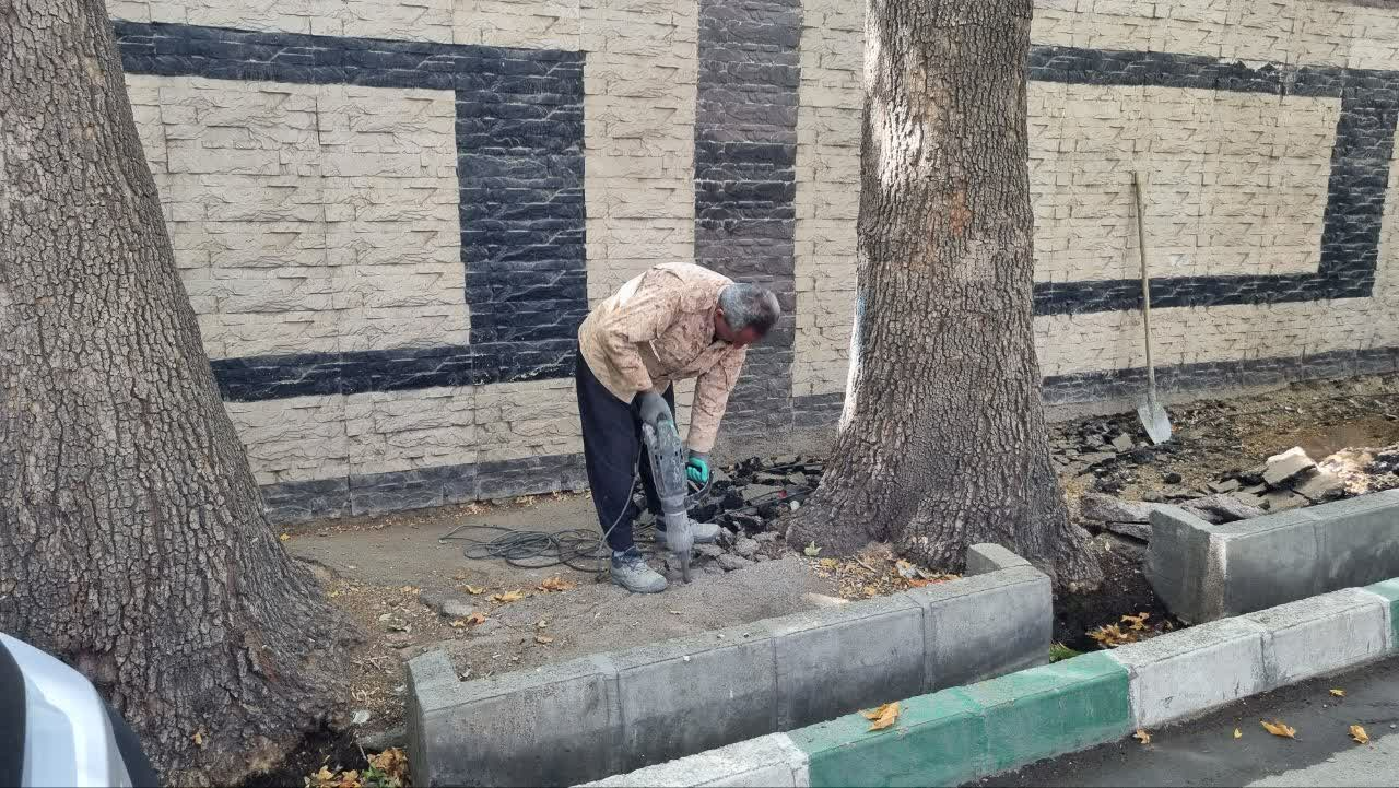 پیاده راه سازی خیاین شهید محلاتی